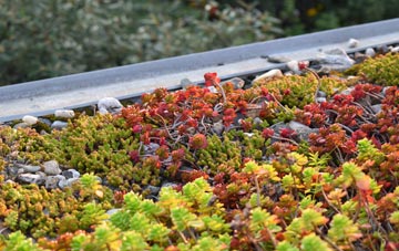 the cost of Codicote Bottom green roof installation