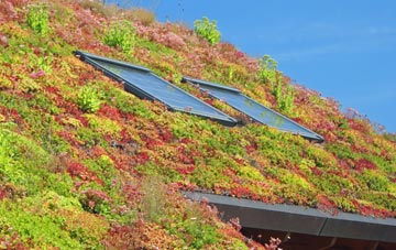 Codicote Bottom living roof systems