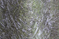 Codicote Bottom fibreglass roof work